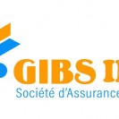 Gibs Immo